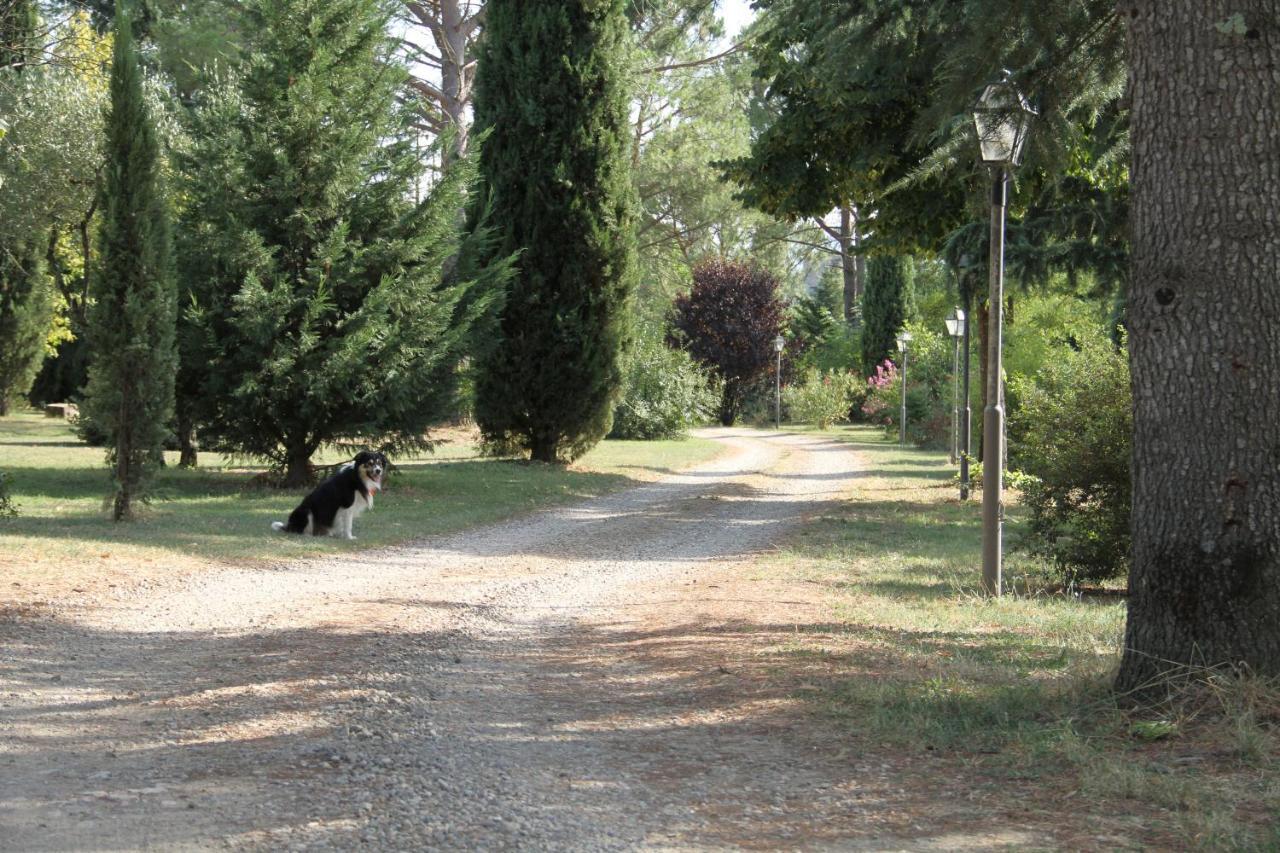 Villa Rigacci Hotel Reggello Buitenkant foto